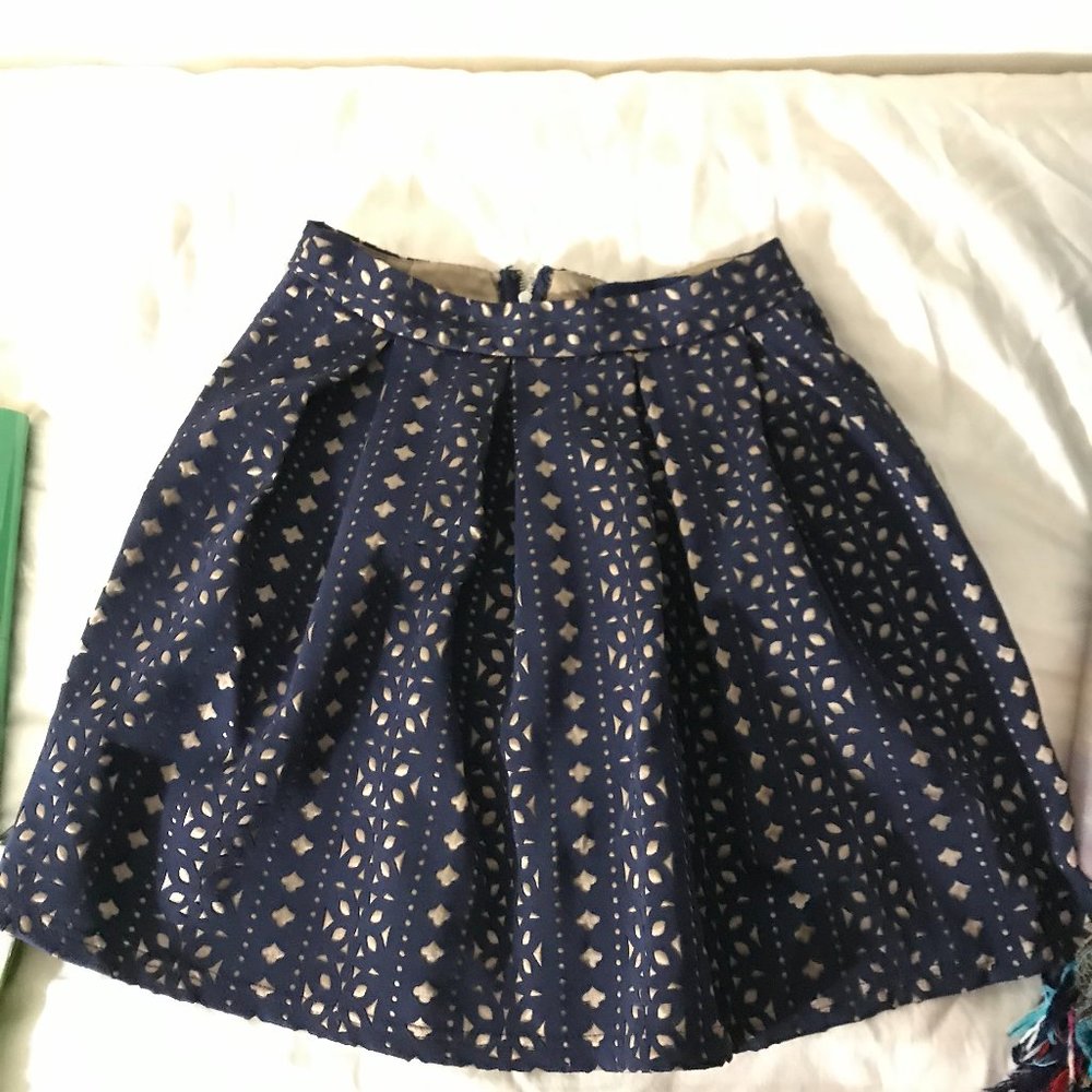 Francesca's Blue Mini skirt